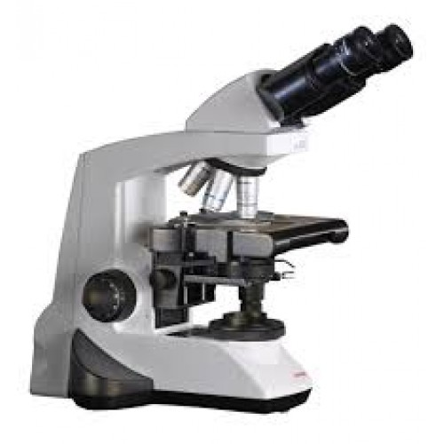 Light Microscope (Binoculars)
